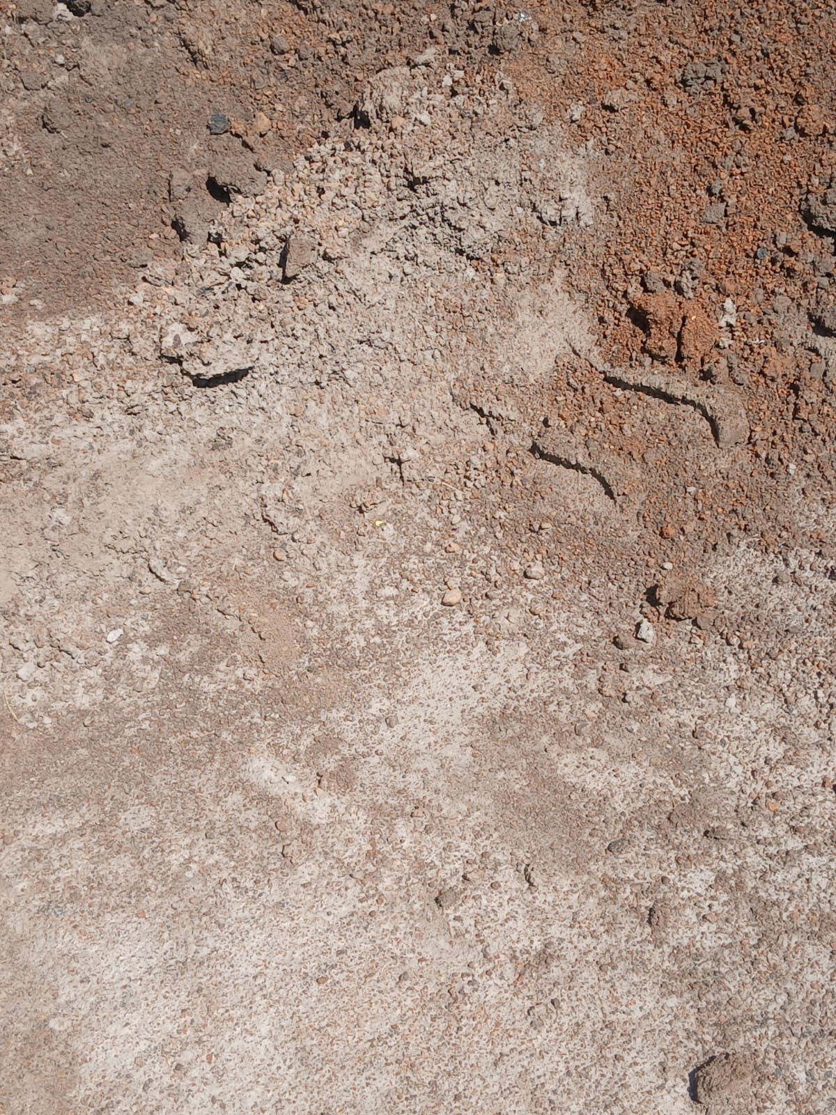 Black Murram — image 7