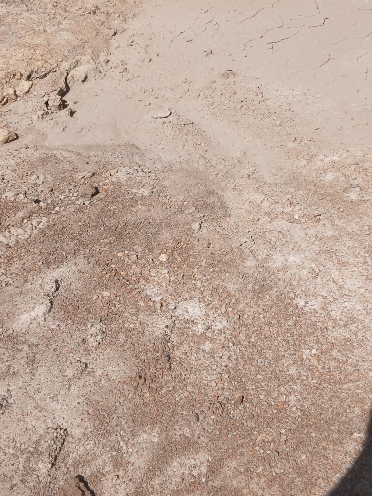 Black Murram — image 9