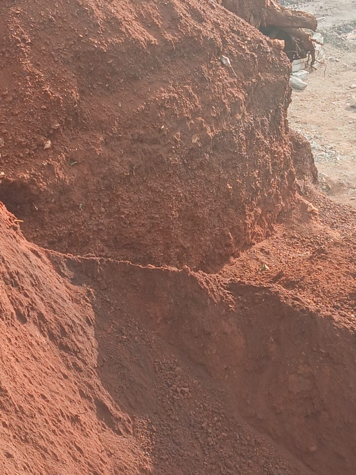 Redsoil — image 6
